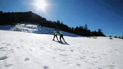 在丽水也能过把滑雪瘾球王会体育app入口(图9)