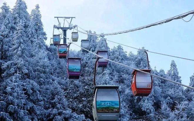 在丽水也能过把滑雪瘾球王会体育app入口(图11)