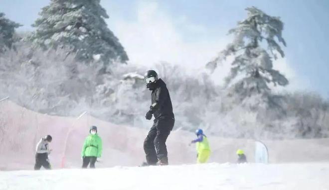 在丽水也能过把滑雪瘾球王会体育app入口(图12)
